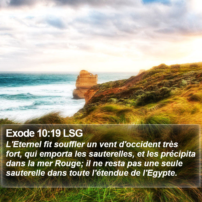 Exode 10:19 LSG Bible Study