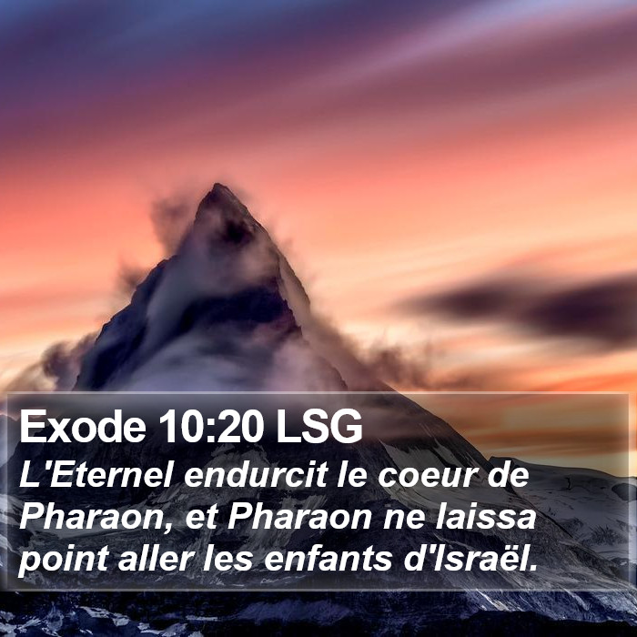 Exode 10:20 LSG Bible Study