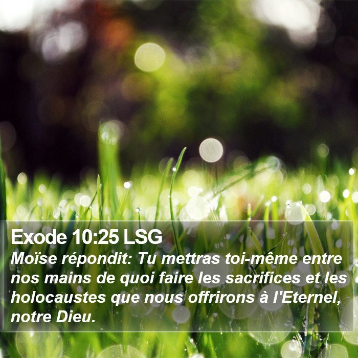 Exode 10:25 LSG Bible Study