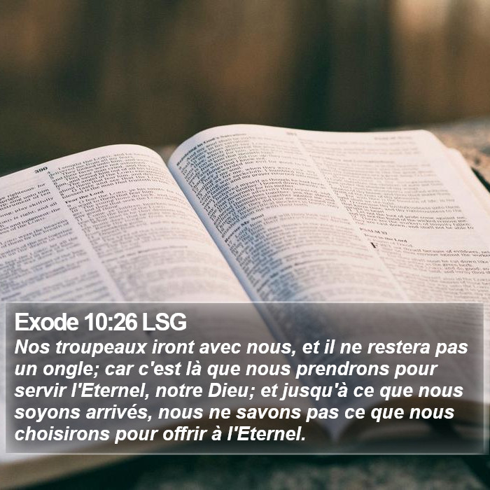 Exode 10:26 LSG Bible Study