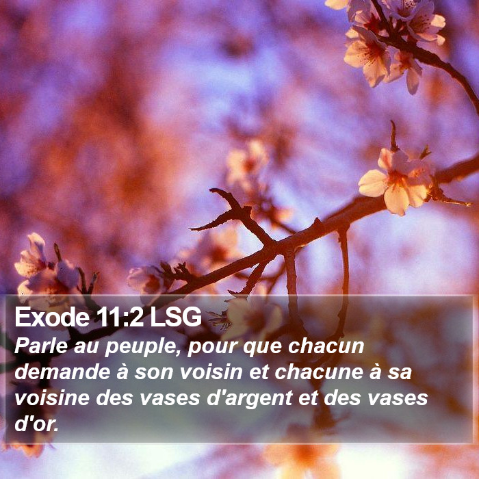 Exode 11:2 LSG Bible Study