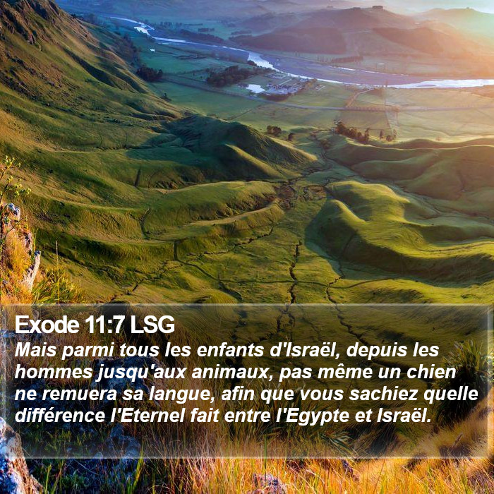 Exode 11:7 LSG Bible Study