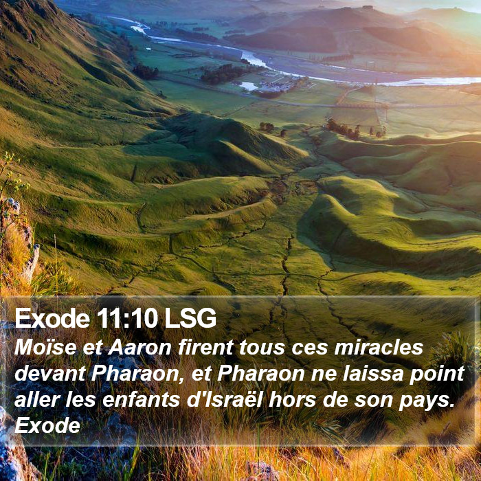 Exode 11:10 LSG Bible Study