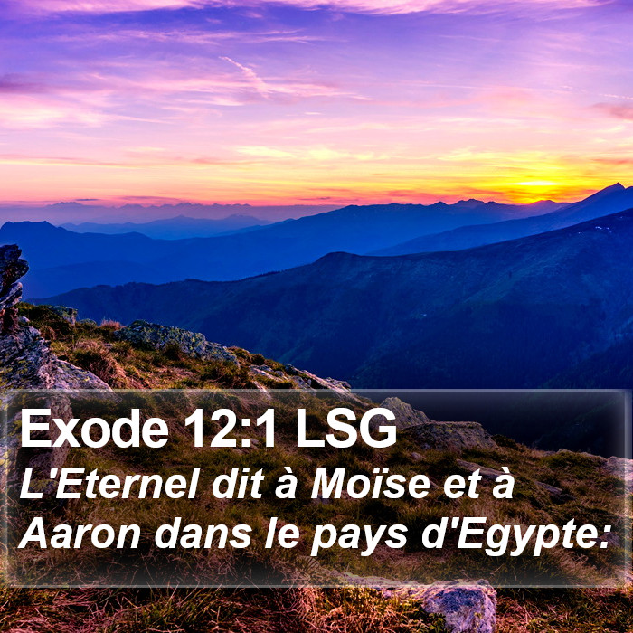 Exode 12:1 LSG Bible Study