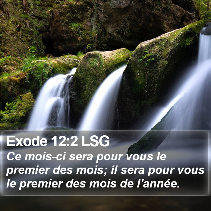 Exode 12:2 LSG Bible Study