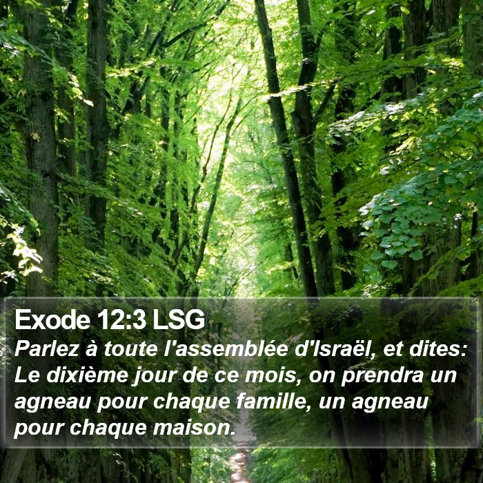 Exode 12:3 LSG Bible Study