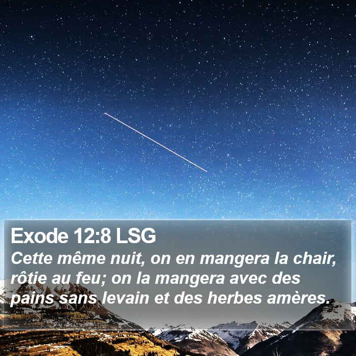 Exode 12:8 LSG Bible Study
