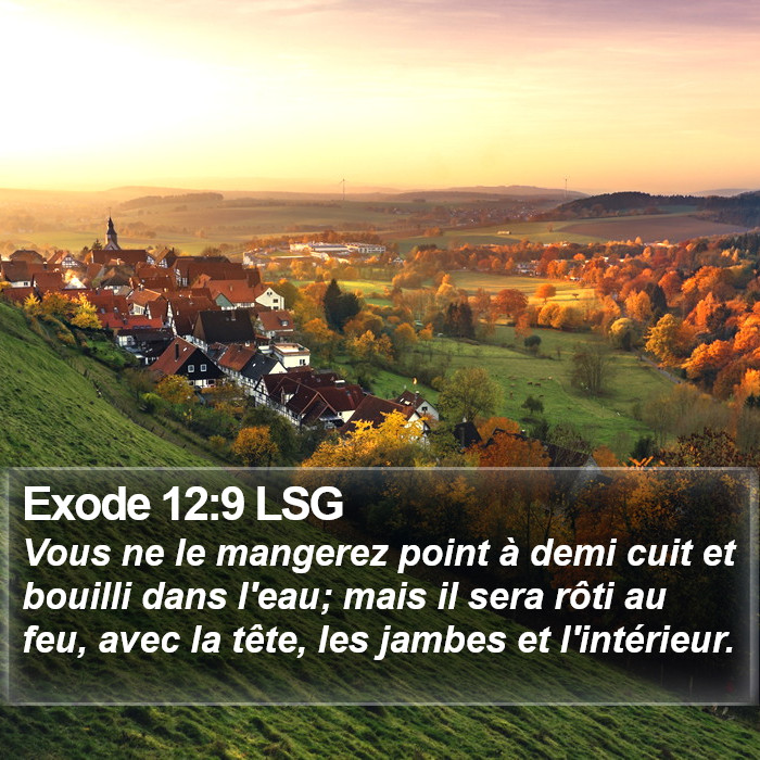 Exode 12:9 LSG Bible Study