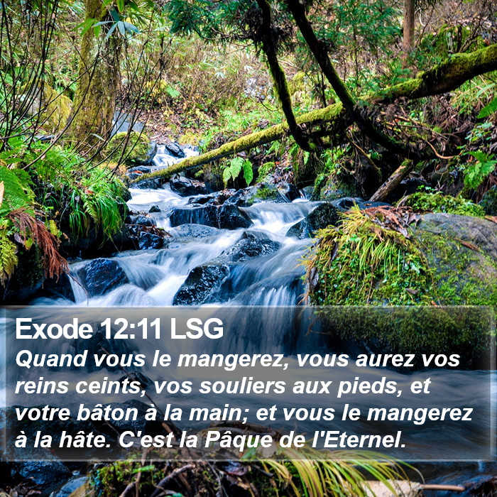 Exode 12:11 LSG Bible Study