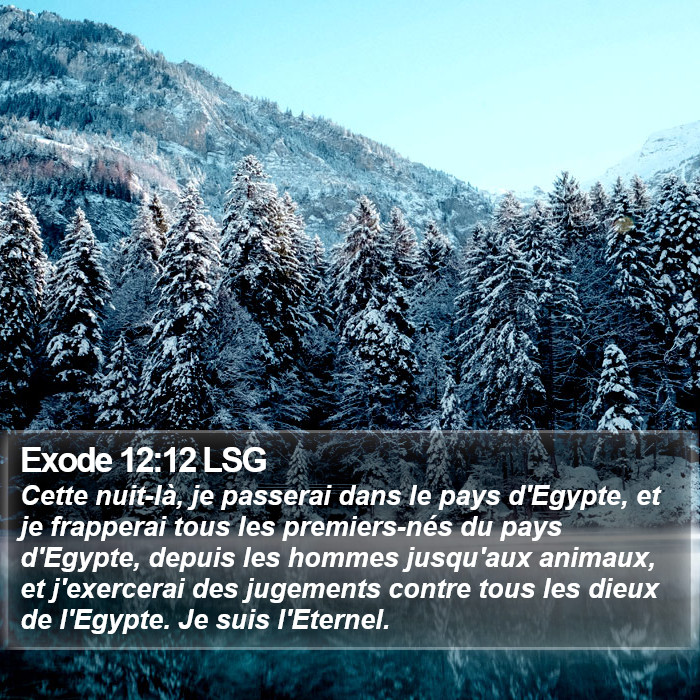 Exode 12:12 LSG Bible Study