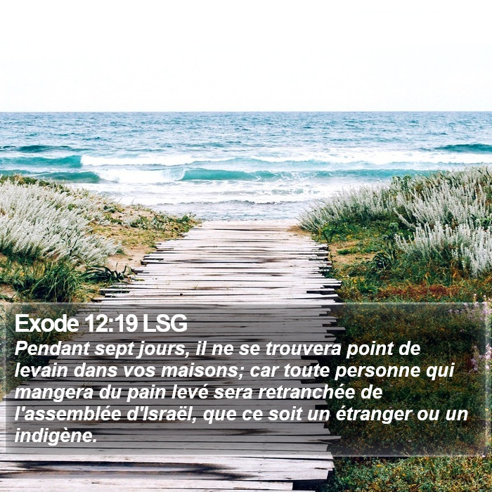 Exode 12:19 LSG Bible Study