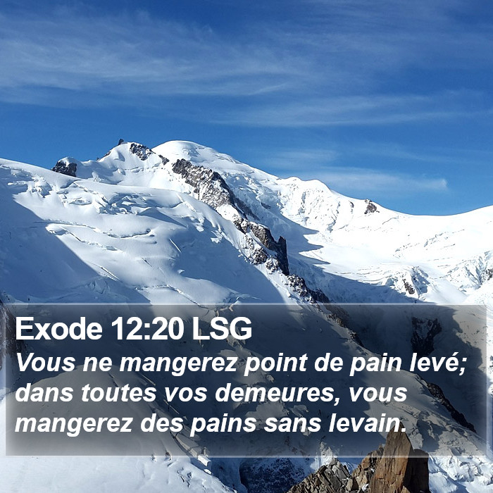 Exode 12:20 LSG Bible Study