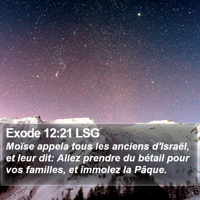 Exode 12:21 LSG Bible Study