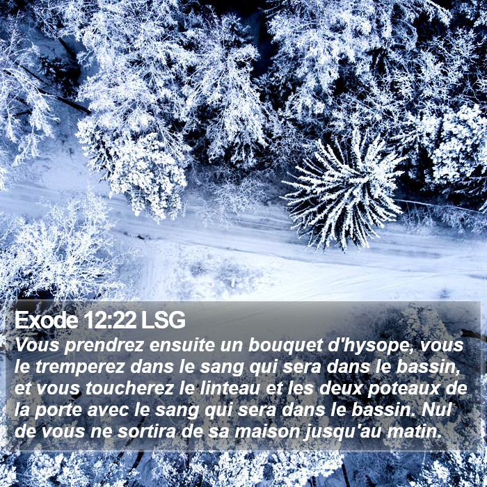 Exode 12:22 LSG Bible Study