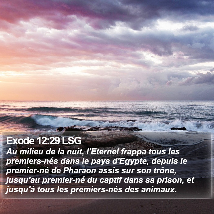 Exode 12:29 LSG Bible Study