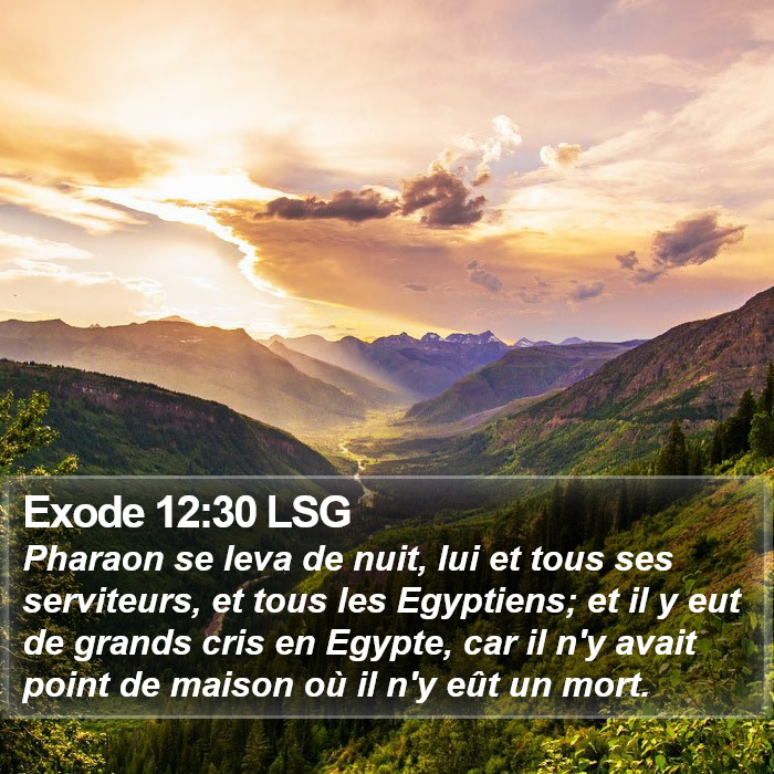 Exode 12:30 LSG Bible Study