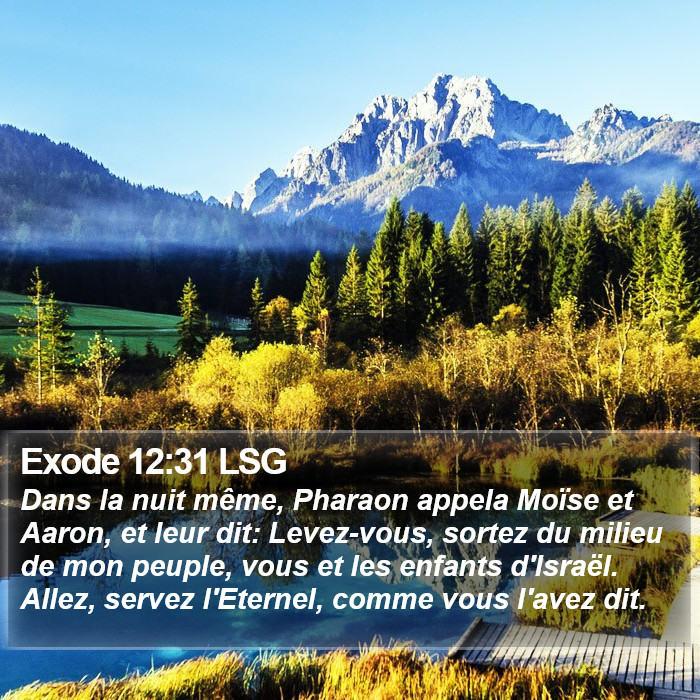 Exode 12:31 LSG Bible Study
