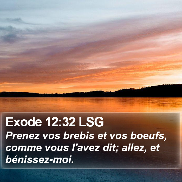 Exode 12:32 LSG Bible Study