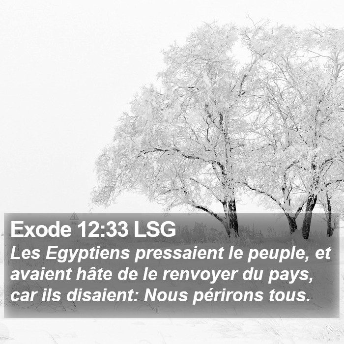 Exode 12:33 LSG Bible Study