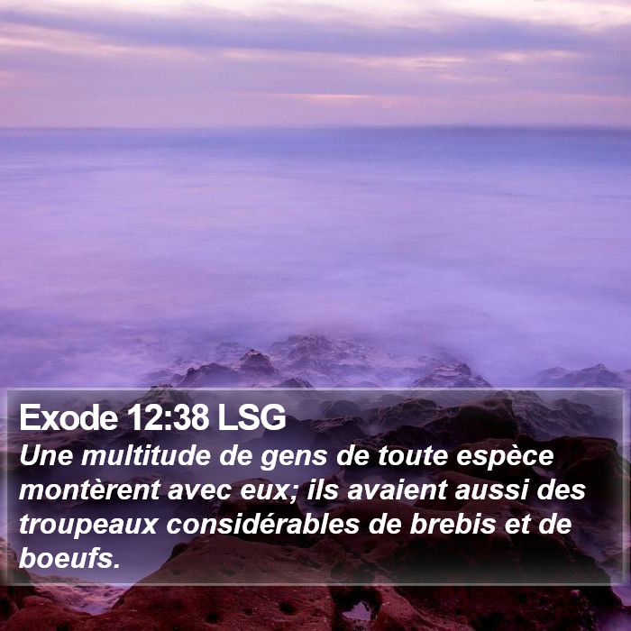 Exode 12:38 LSG Bible Study