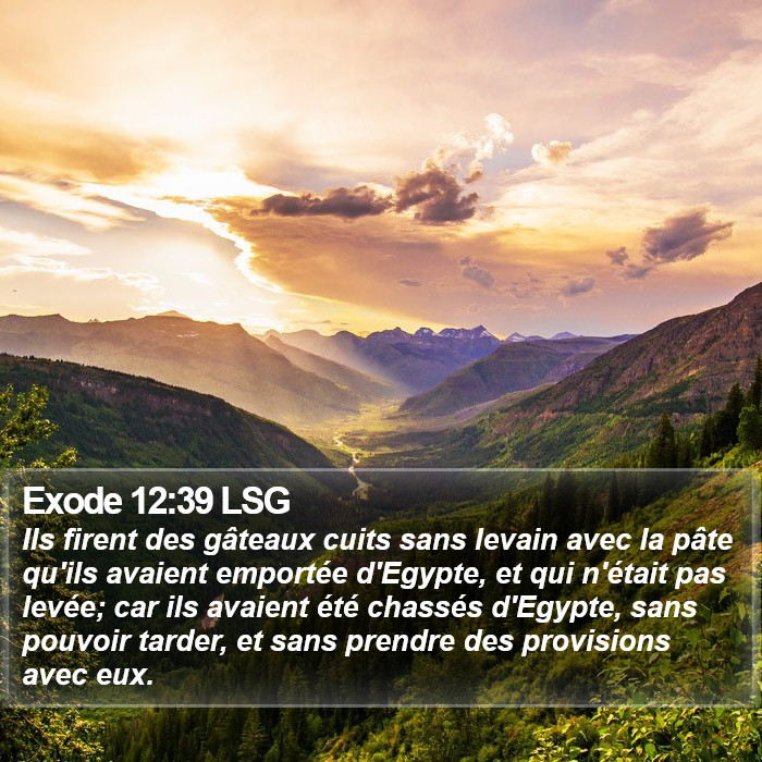 Exode 12:39 LSG Bible Study