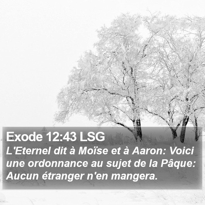 Exode 12:43 LSG Bible Study