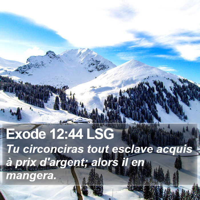 Exode 12:44 LSG Bible Study
