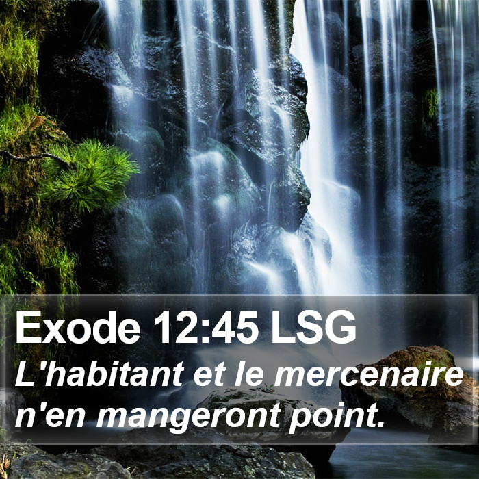 Exode 12:45 LSG Bible Study