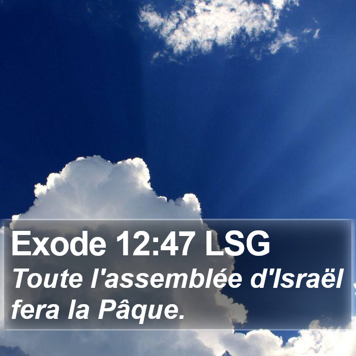 Exode 12:47 LSG Bible Study