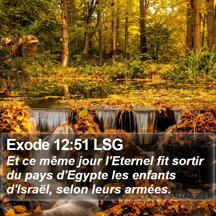 Exode 12:51 LSG Bible Study