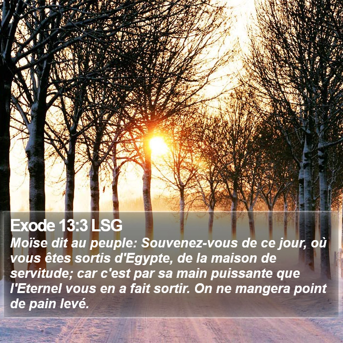 Exode 13:3 LSG Bible Study
