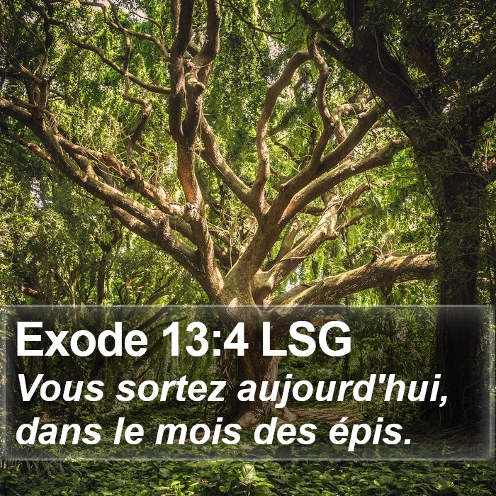 Exode 13:4 LSG Bible Study