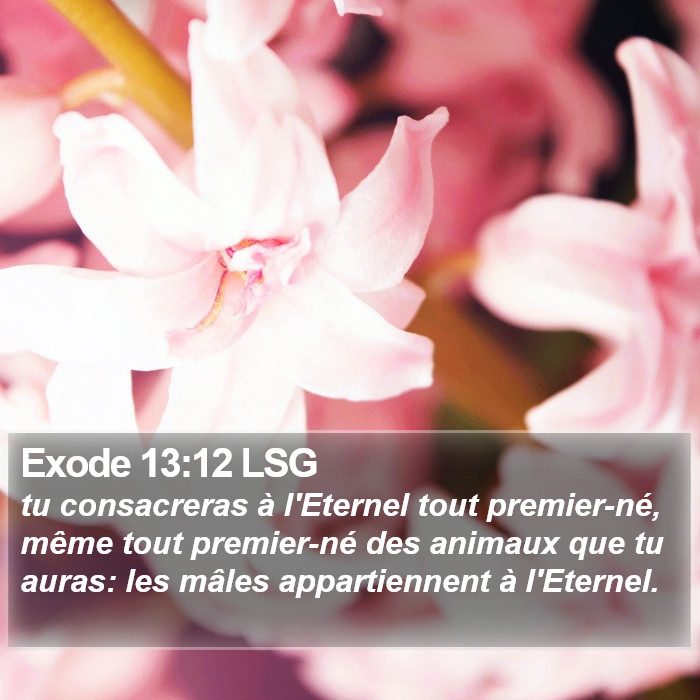 Exode 13:12 LSG Bible Study