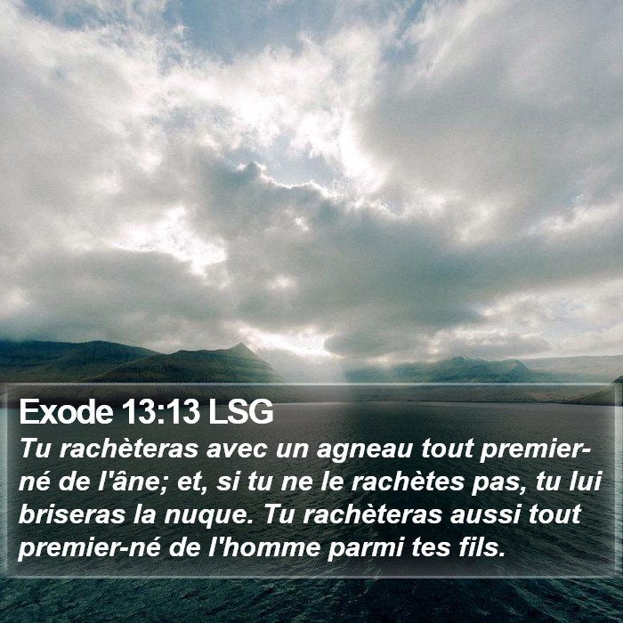 Exode 13:13 LSG Bible Study