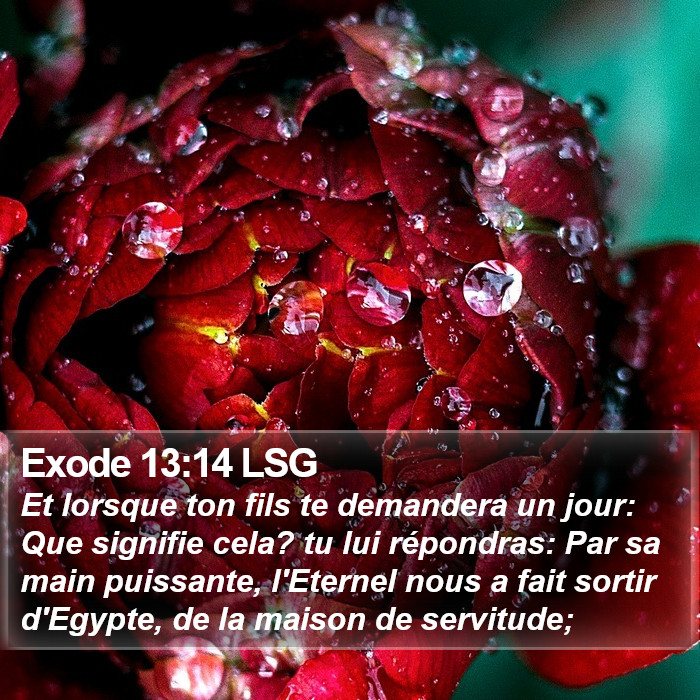 Exode 13:14 LSG Bible Study