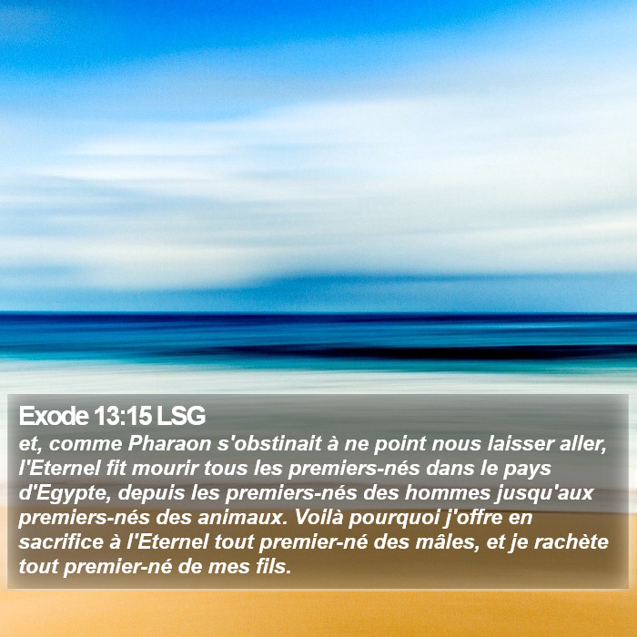 Exode 13:15 LSG Bible Study