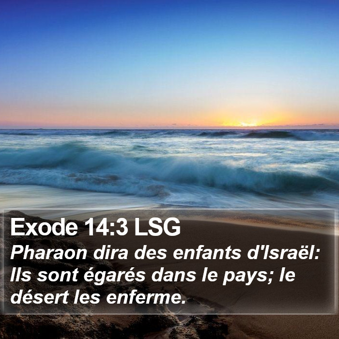 Exode 14:3 LSG Bible Study