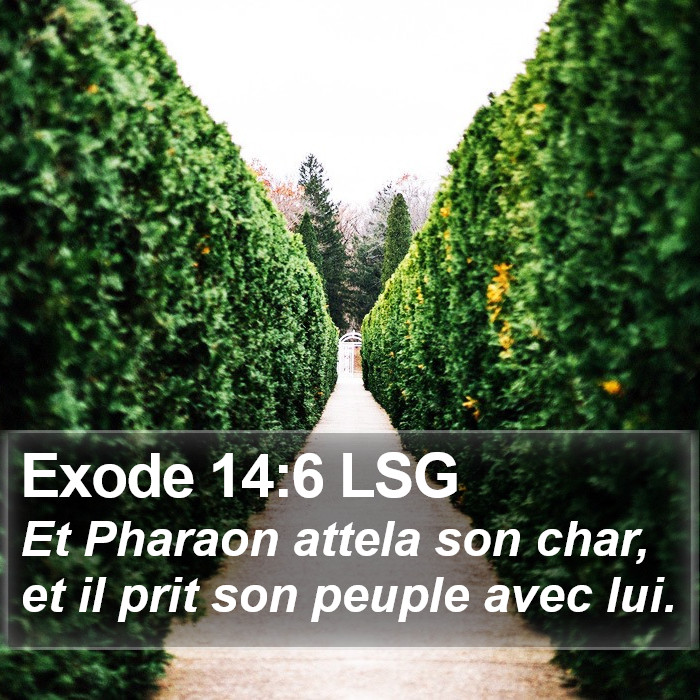 Exode 14:6 LSG Bible Study