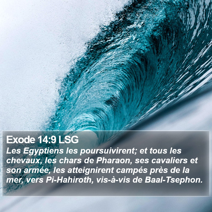 Exode 14:9 LSG Bible Study