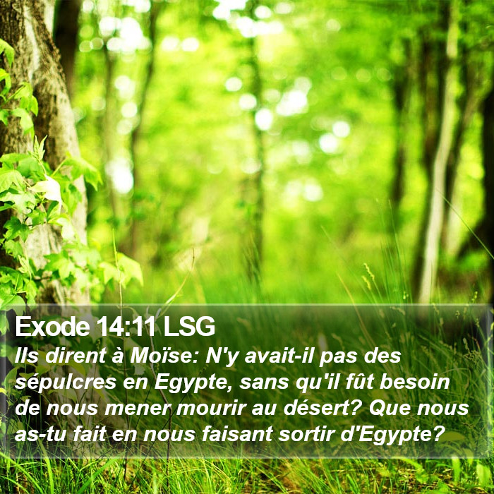 Exode 14:11 LSG Bible Study