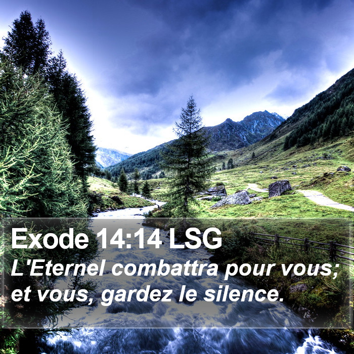 Exode 14:14 LSG Bible Study