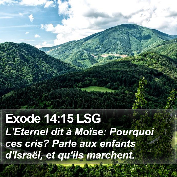 Exode 14:15 LSG Bible Study