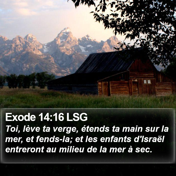 Exode 14:16 LSG Bible Study