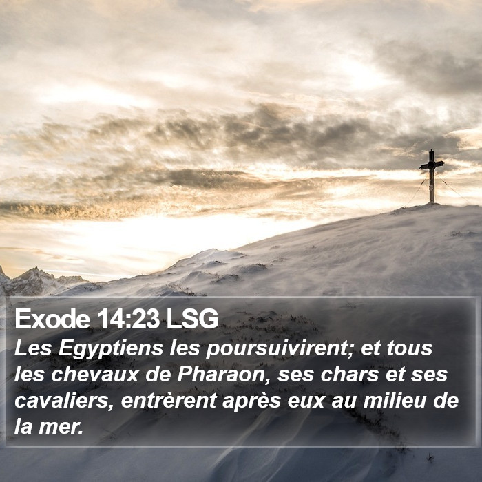 Exode 14:23 LSG Bible Study