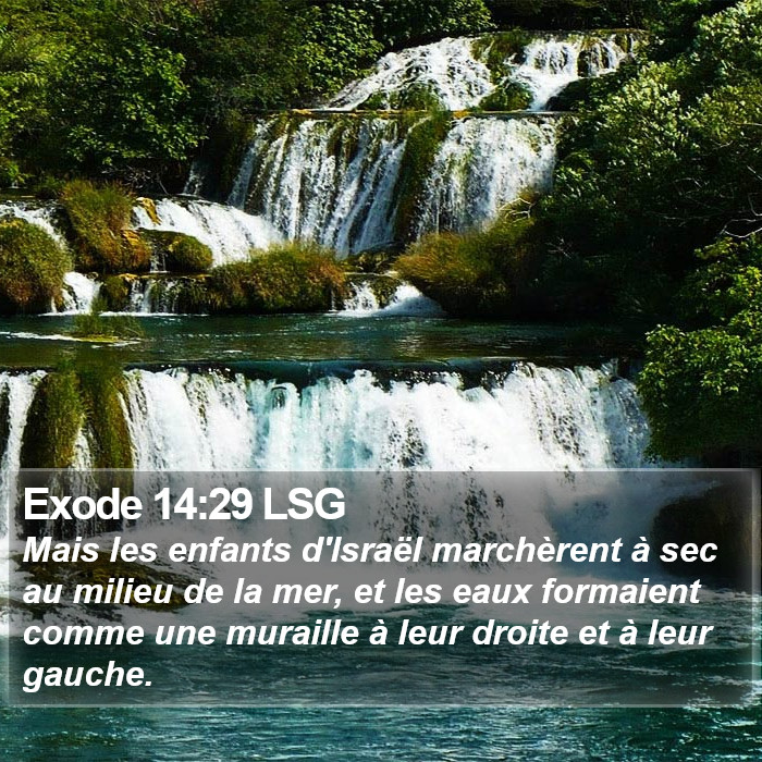 Exode 14:29 LSG Bible Study