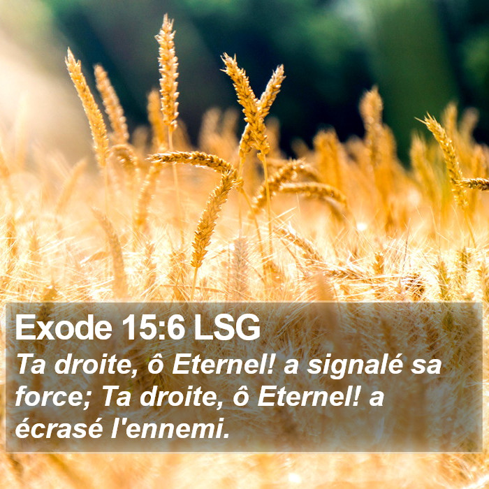 Exode 15:6 LSG Bible Study