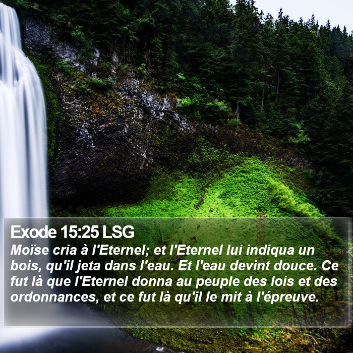 Exode 15:25 LSG Bible Study