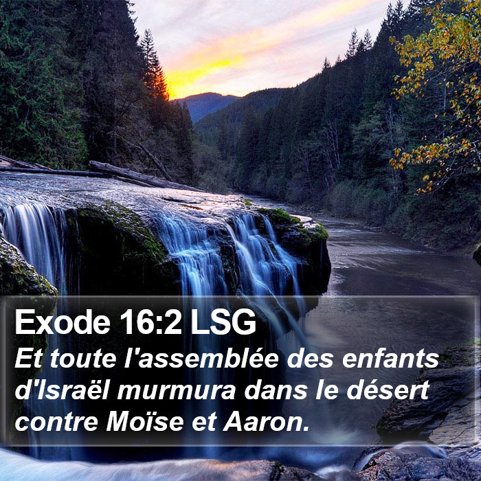 Exode 16:2 LSG Bible Study