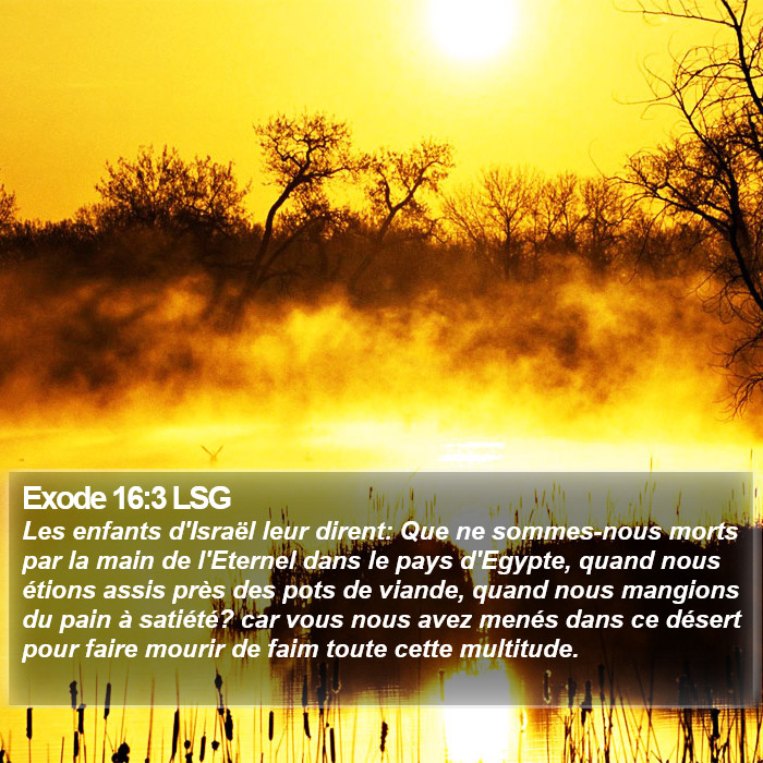 Exode 16:3 LSG Bible Study
