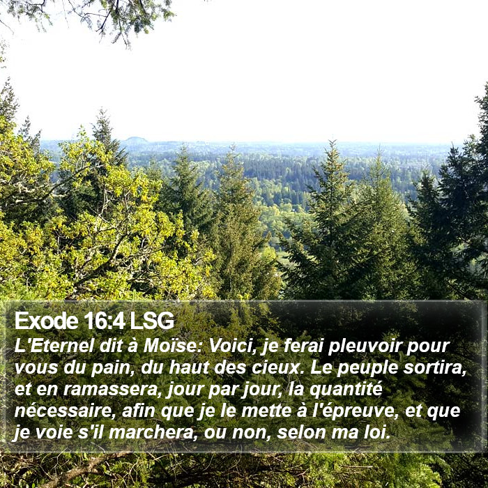 Exode 16:4 LSG Bible Study